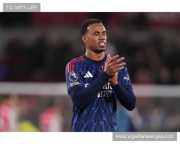 布伦特福德报价加布里埃尔被拒