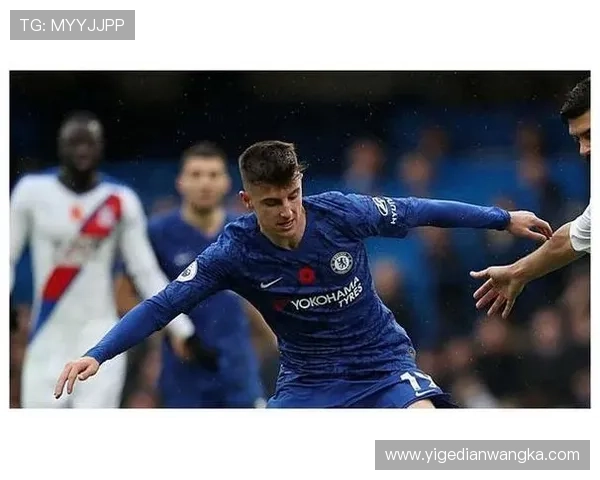 青年蓝军连胜狼队 斗志昂扬再创佳绩